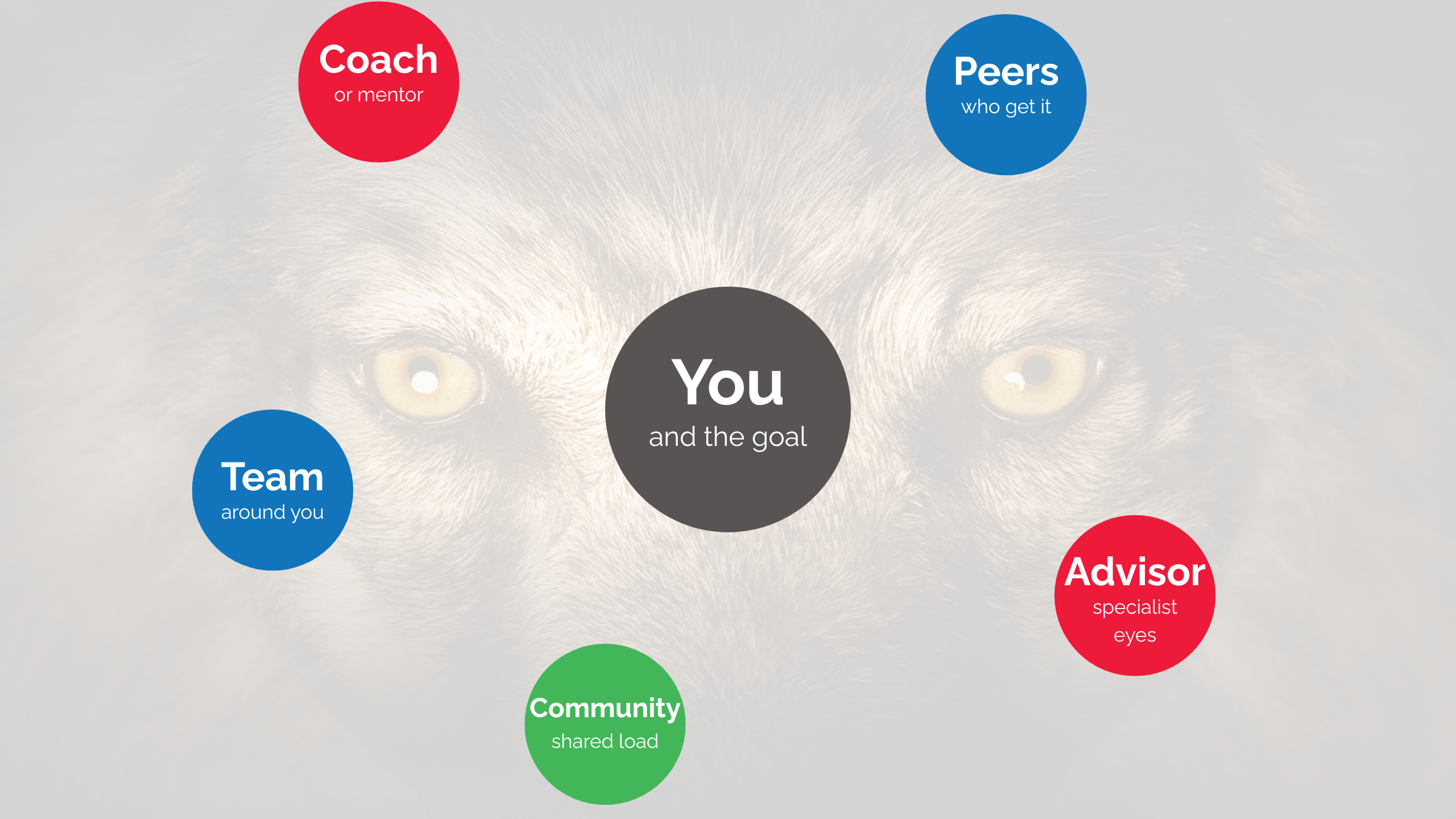 Network diagram showing a business owner at the centre connected to five sources of support — coach, peers, team, advisor, and community — illustrating that no one performs at their best alone.